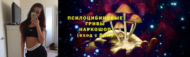 Галлюциногенные грибы Cubensis  omg как войти  Долинск 